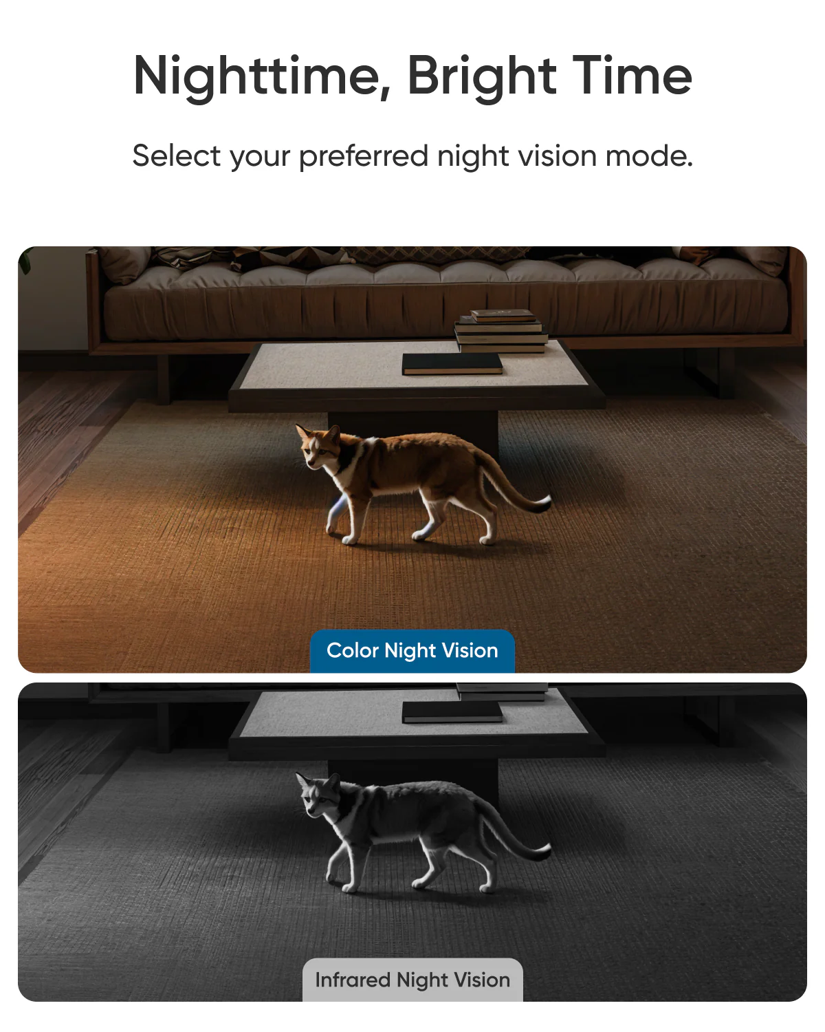 5_dfa299e4-3860-4c5b-9dd7-030205804f19